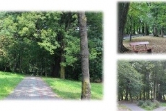 Park-Podworski-z-okolo-1730-roku-okolo-1845-roku